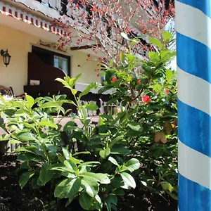 birkenhof-pension-mit-herz.com-bavaria.com/